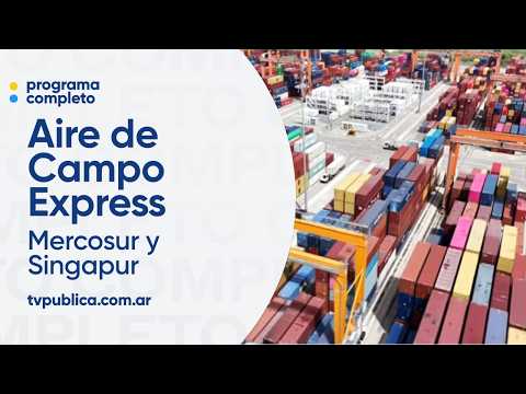 MERCOSUR - Singapore Agreement: New opportunities in Southeast Asia - Aire De Campo Express