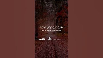 سورة المؤمنون #اكسبلور #المصحف #دويتو #ذكر_الله #لايك #قرآن