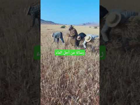 تصنطو مزيال لصوت لحصاد رسالة من أجل الماء والفلاحة العائلية