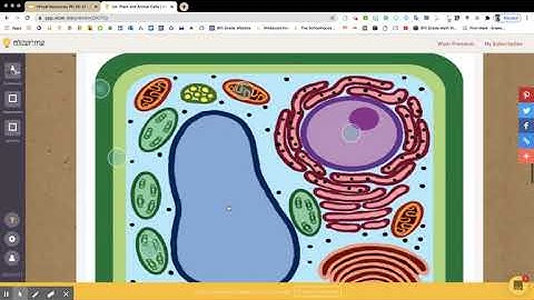 PART 1: Using Wizer.Me Virtual Worksheets
