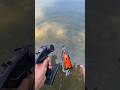 High Speed RC  Remote Control Boat #boat #toys