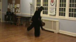 Yu Shin Hapkido-Choson Kwon Bup