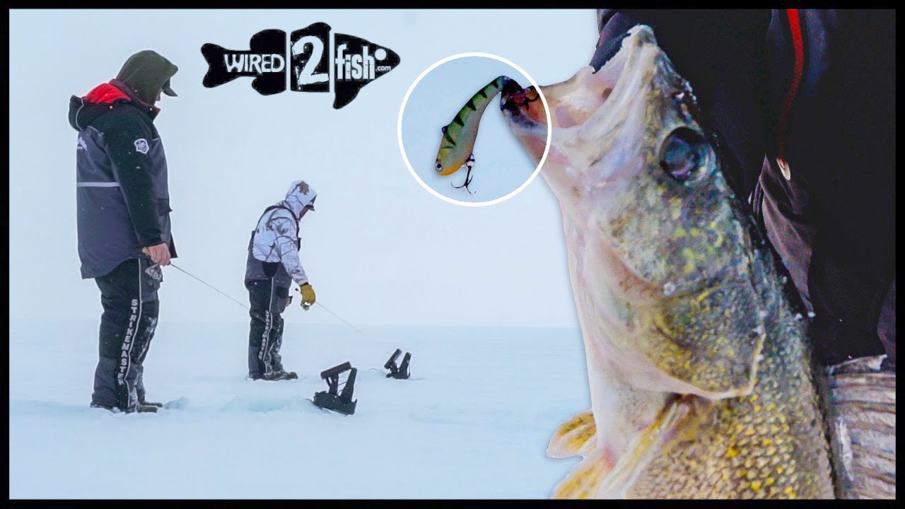 How to Catch Walleye  Best Walleye Fishing Tips - Wired2Fish