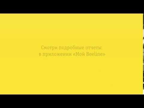 Узнай, сколько трафика ты тратишь в месяц! Смотри подробные отчеты в приложении «Мой Beeline»