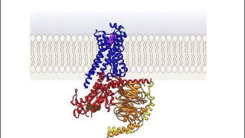 GPCR the movie