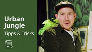 Mit Pflanzen dekorieren | IKEA Tipps & Tricks