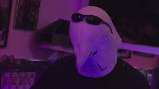 Heel on December 1, 2022 in Gainesville, FL