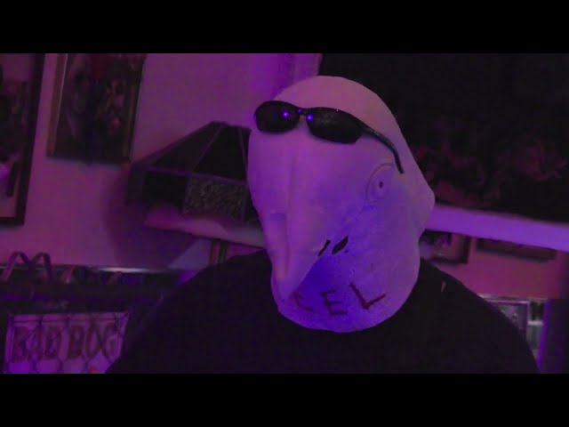 Heel on December 1, 2022 in Gainesville, FL