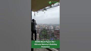 Bird Netting Solution   Nature Pest Services