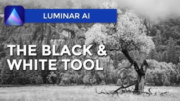 The Black & White Tool - Luminar AI