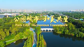 Hello! Giant pandas welcome the 2026 Global Mayors Dialogue in Chengdu