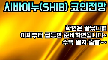 시바이누 SHIB 코인전망 확인은 끝났다 이제부터 급등만 준비하면됩니다 수익 열차 출발