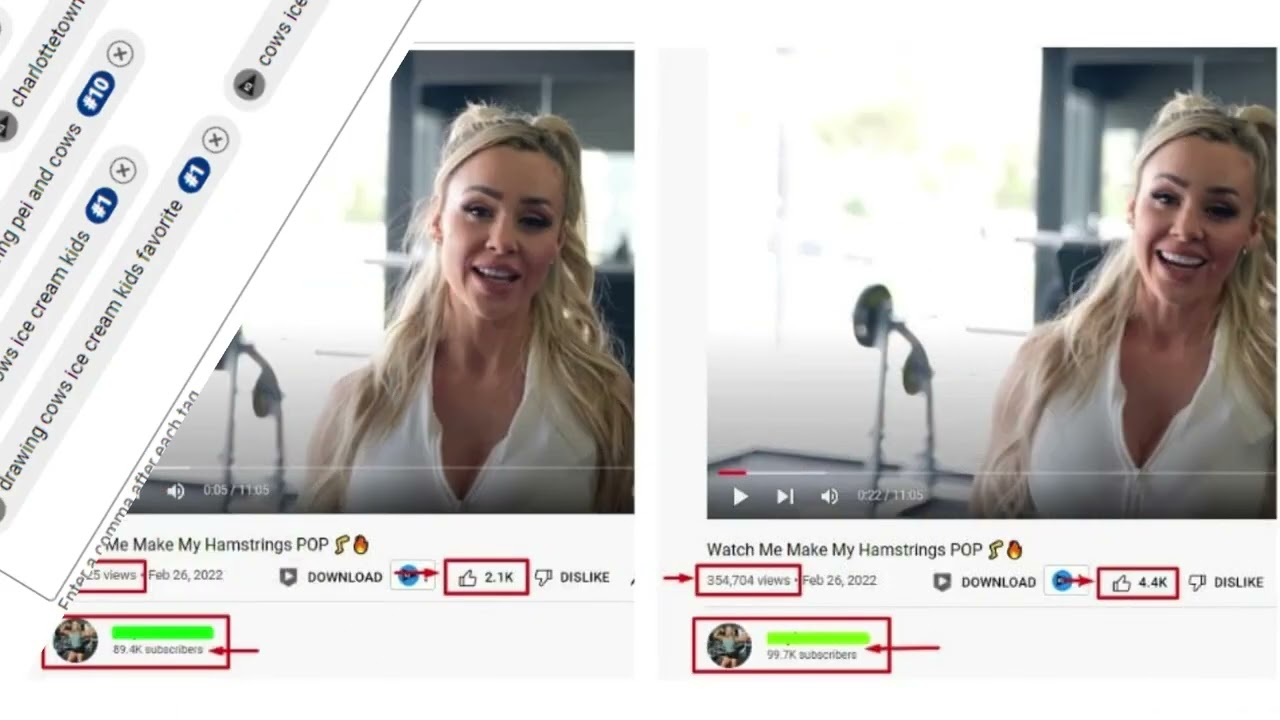 You Tube Video SEO Portfolio