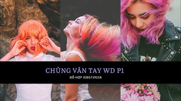 CHỦNG VÂN TAY WD P1