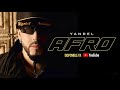 YANDEL AFRO LETRAS LYRICS mp3