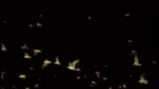 Ferdi Tayfur Sabahçı Kahvesi 1992 Orjinal 