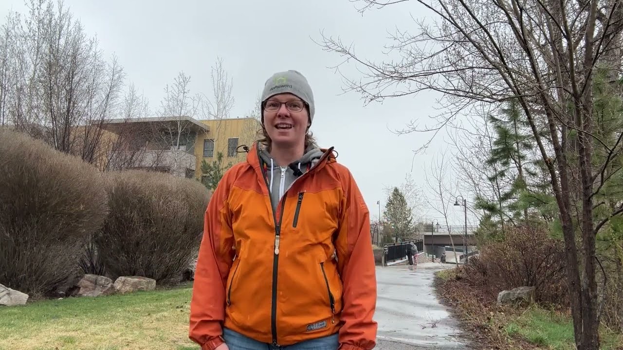 May 2023 Executive Director Insight