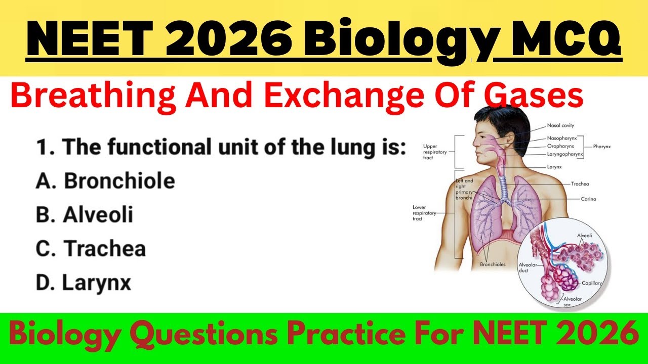 Breathing and Exchange of Gases | Rapid Revision MCQs | Class 11 Biology | NEET 2026