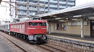 EF81-140[新潟]牽引常磐線E531系「ｶﾂ420編成」AT入場勝田駅入れ替え灯付けて入線