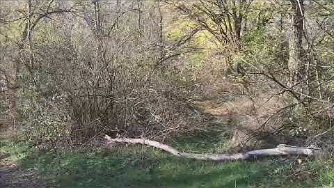 Керчь  Осень, сад, ул  Заречная, речка 16 11 25