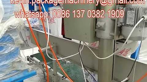 rice packing machine  DCS series automatic quantitative packaging electronic scale