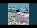 Miniature de la vidéo de la chanson The Waves (Mmoths Remix)
