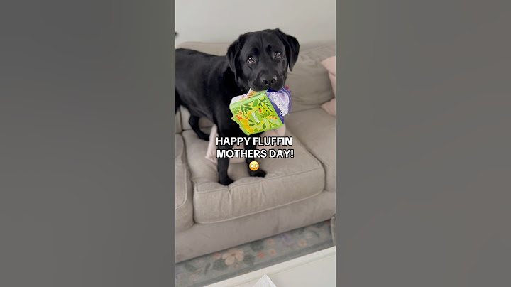 Mother’s Day was a DISASTER!