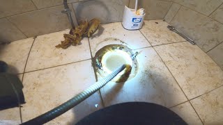 Sewer Drain Clog  Drain Pros Ep. 29