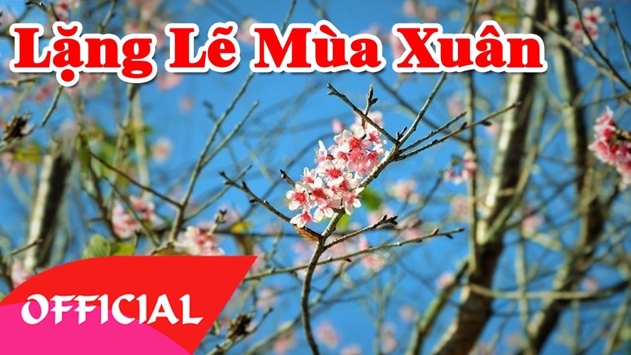 Lặng Lẽ Mùa Xuân - Thanh Thảo | Nhạc Hay Việt Nam | MV Audio