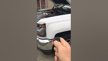 Thumbnail of La Cucaracha air horns