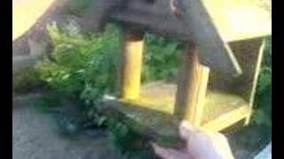 Gardening the way you like it - Interview Part 2