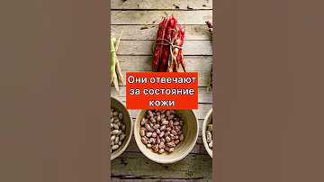 Чем заменить мясо 🥩 во время поста? Фасоль - источник растительного белка и витаминов