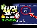 How I Built A NEW Shopify Store To $1k/Day In 72 Hours! (Shopify Dropshipping 2018)