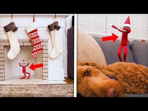 elf-on-a-shelf-caught-moving!