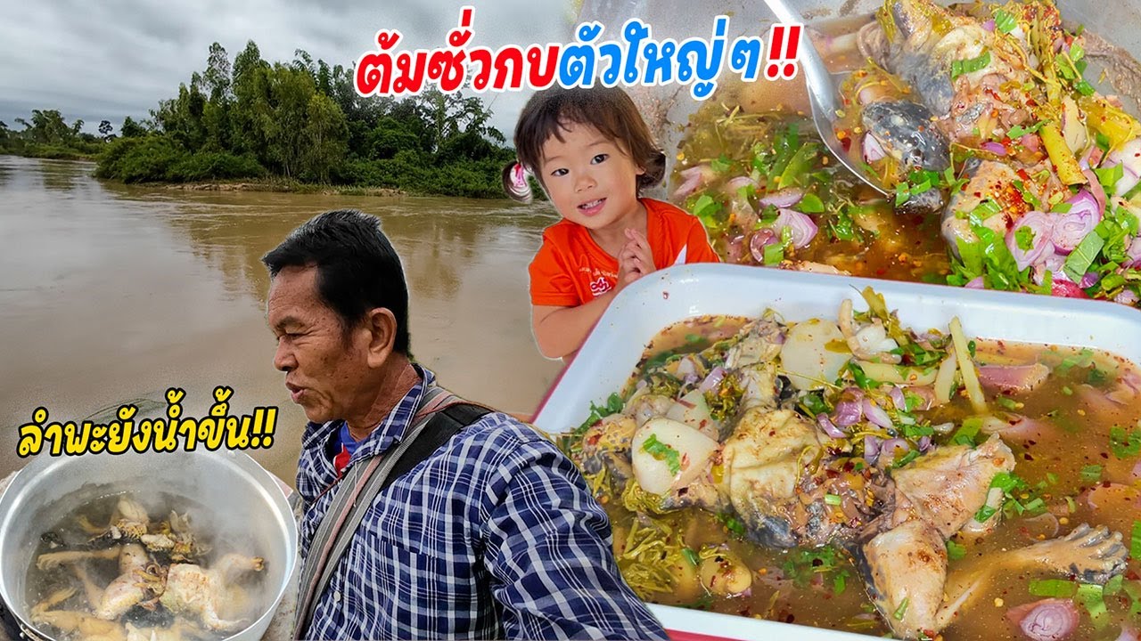 เมนูฤดูฝน!! ซั่วกบนาตัวใหญ่ๆ ไส่เครื่องสมุนไพรใบขามอ่อน!! ตอนเช้ายามเบ็ดลำพะยัง น้ำขึ้นเยอะมาก!!
