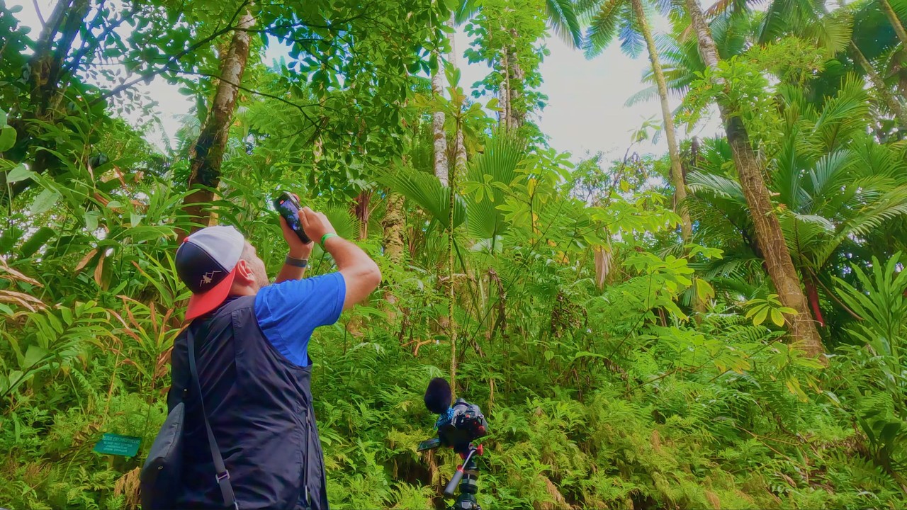 Filming Hawaii’s Big Island in 4K HDR 🌴 | Scenic Jungle Drive & Tropical Botanical Garden - S4; Ep 2