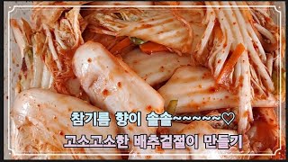 (♡초간단레시피♡)참기름 향이 솔솔~~ 배추 한통으로  고소고소한 배추겉절이 만들기