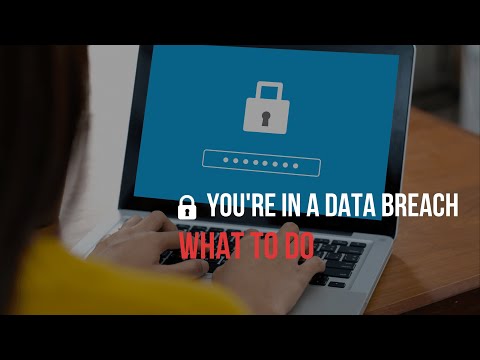 ? What to do when you're involved in a data breach