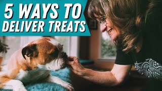 How To PROPERLY Deliver Treat Rewards To Your Dog