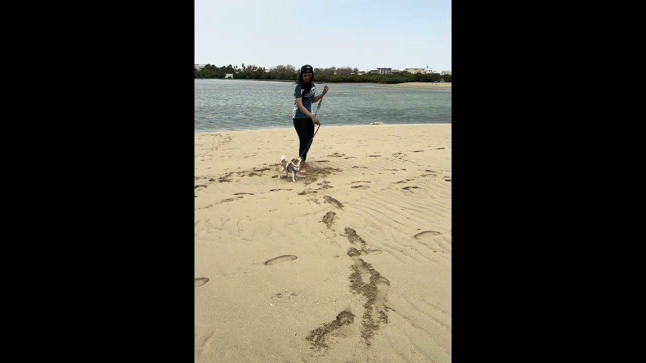 Audi’s Beach Day | Dog Beach Park | Al Wakrah Qatar 🎊