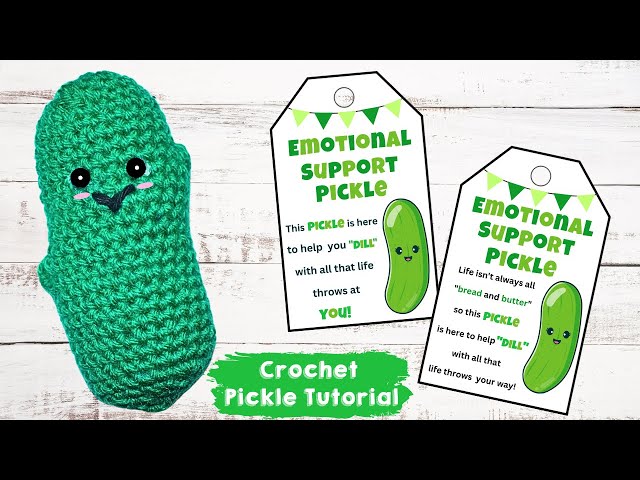 Emotional Support Pickle, Mini PoupéE de Cornichon TricotéE avec Ca
