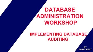 Implementing Database Auditing in Oracle
