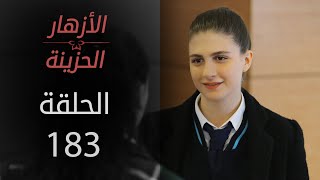 مسلسل الأزهار الحزينة | الحلقة 183 - الموسم الثاني