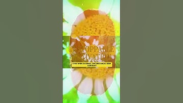 trust the process #believe #trust #positivity #motivation #positivity #encouragement