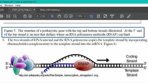 Introduction to Gene Annotation Training Video