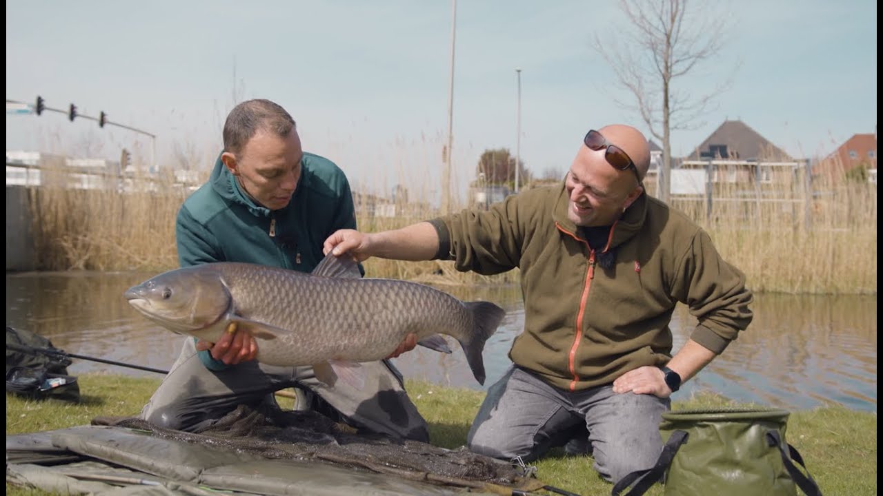 VISblad TV - penvissen op Vinex-karpers!