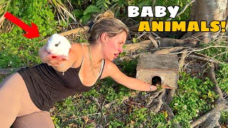 PULLING BABY ANIMALS OUT OF NEST! WHAT IS IT?! screenshot 3