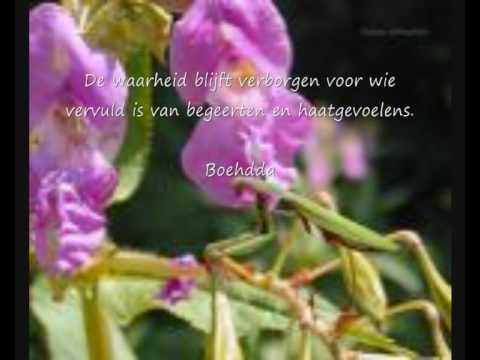 bloemen wijsheden spreuken en wijsheden 2 youtube bloemen wijsheden spreuken en wijsheden 2 youtube