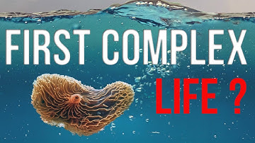 Fossils That Rewrite Earth