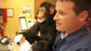 Axtell Expressions Hands-Free Chimp Puppet Motel Monkey